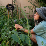 IVANA LCX vient clôturer son premier EP avec la live session de All of a Sudden